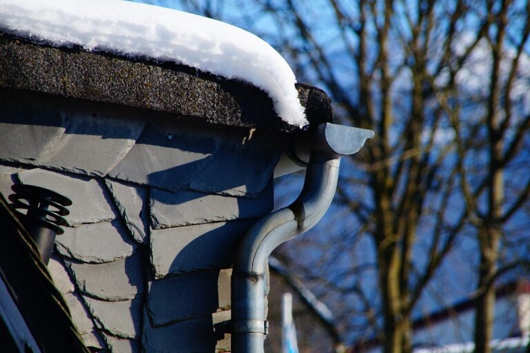 gutter, downpipe, nature